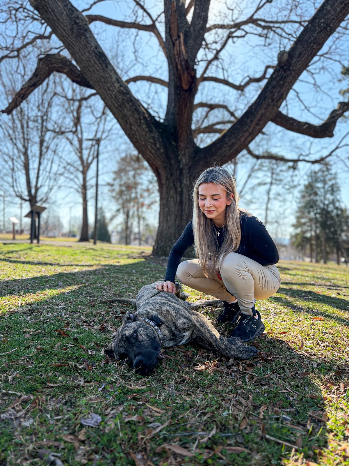 A trainer crouching beside a brindle dog resting under a large tree